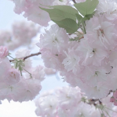 巴音郭楞FurryQQ群介绍